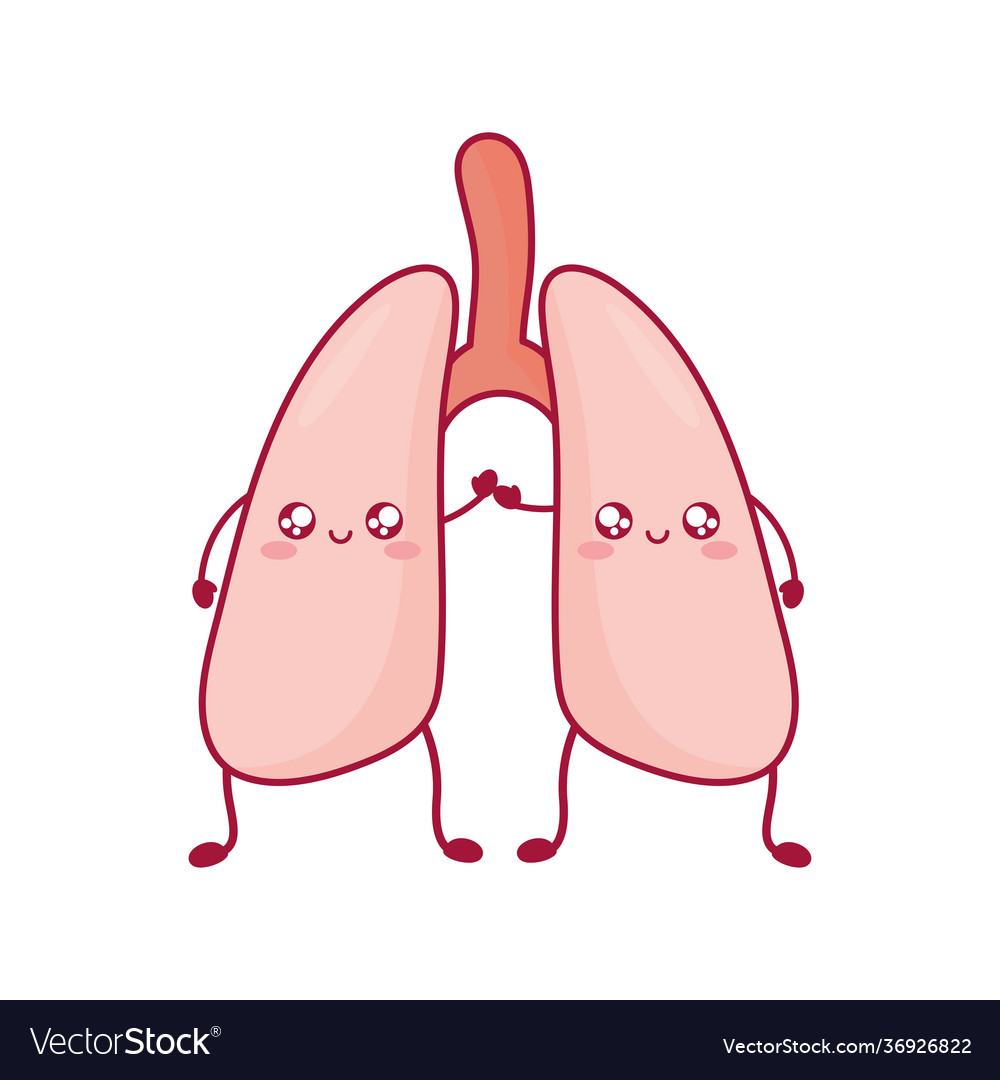 Cute lungs icons Royalty Free Vector Image - VectorStock