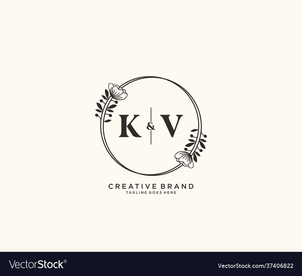 Initial kv letters hand drawn feminine and floral Vector Image