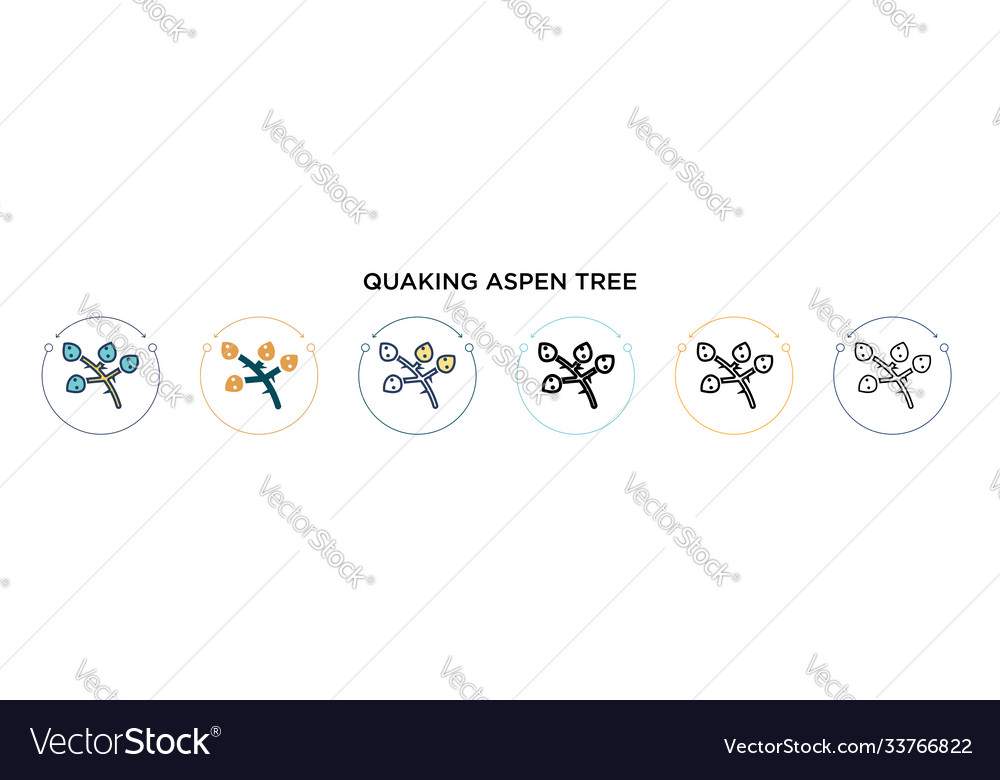 Quaking aspen tree icon in filled thin line