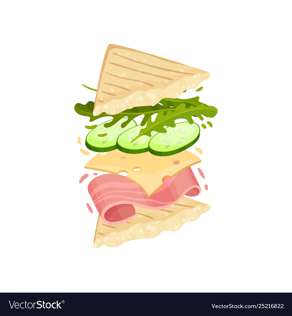 Sandwich on a triangular toast vector image Sandwich on a triangular toast