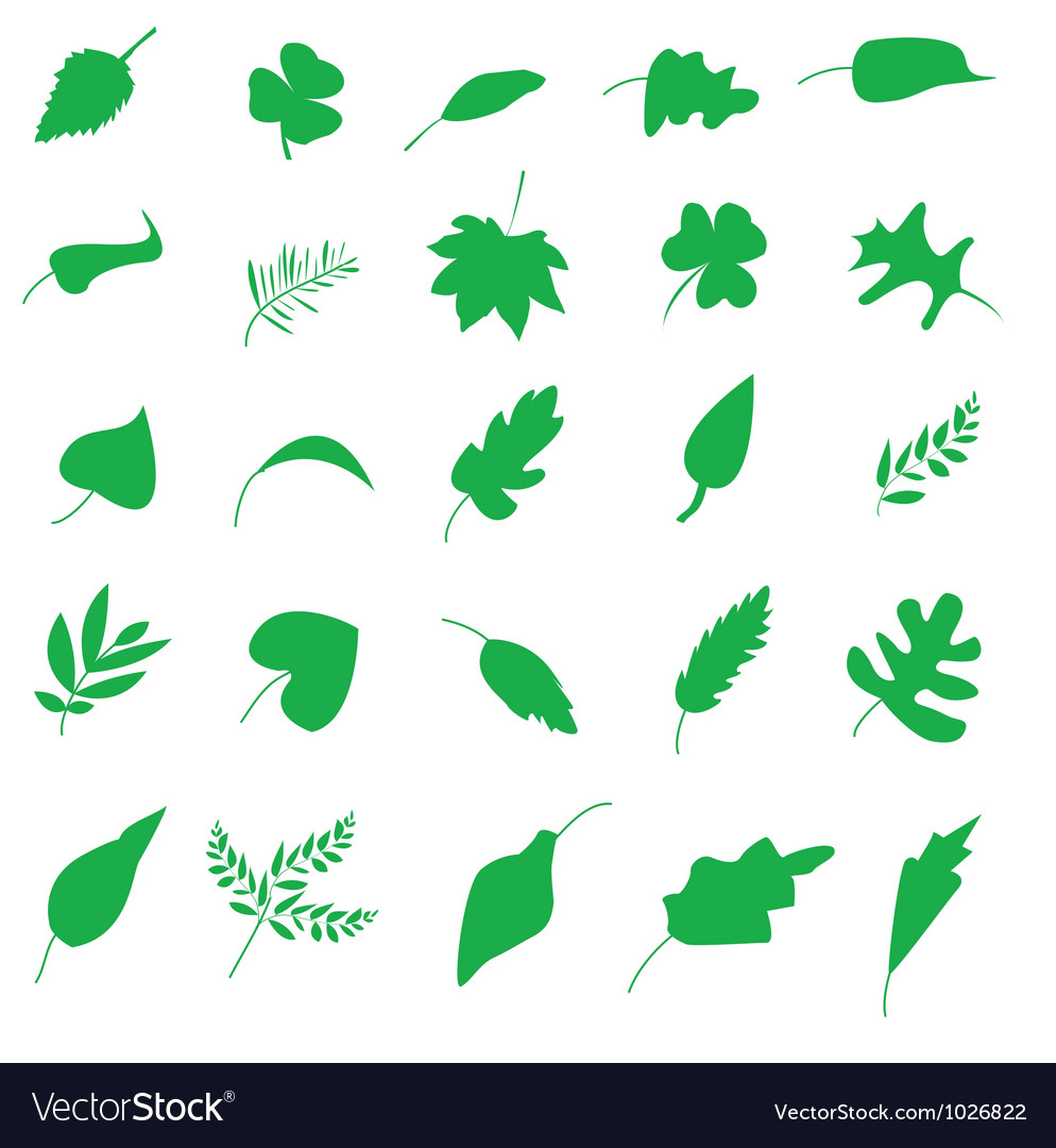 Various leaves silhouettes