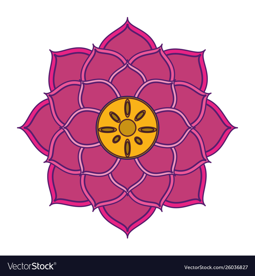 Lotus blossom flowers icon cartoon