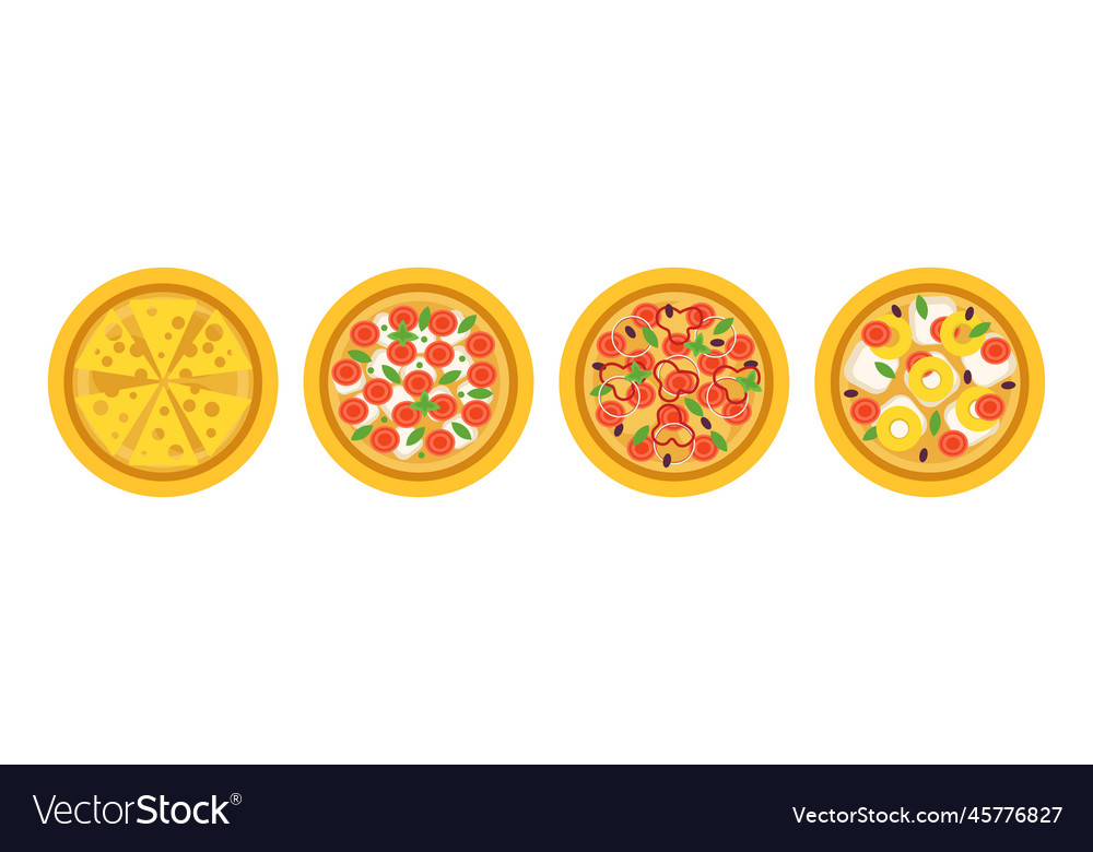 Pizza with different toppings above view vector image Pizza with different toppings above view