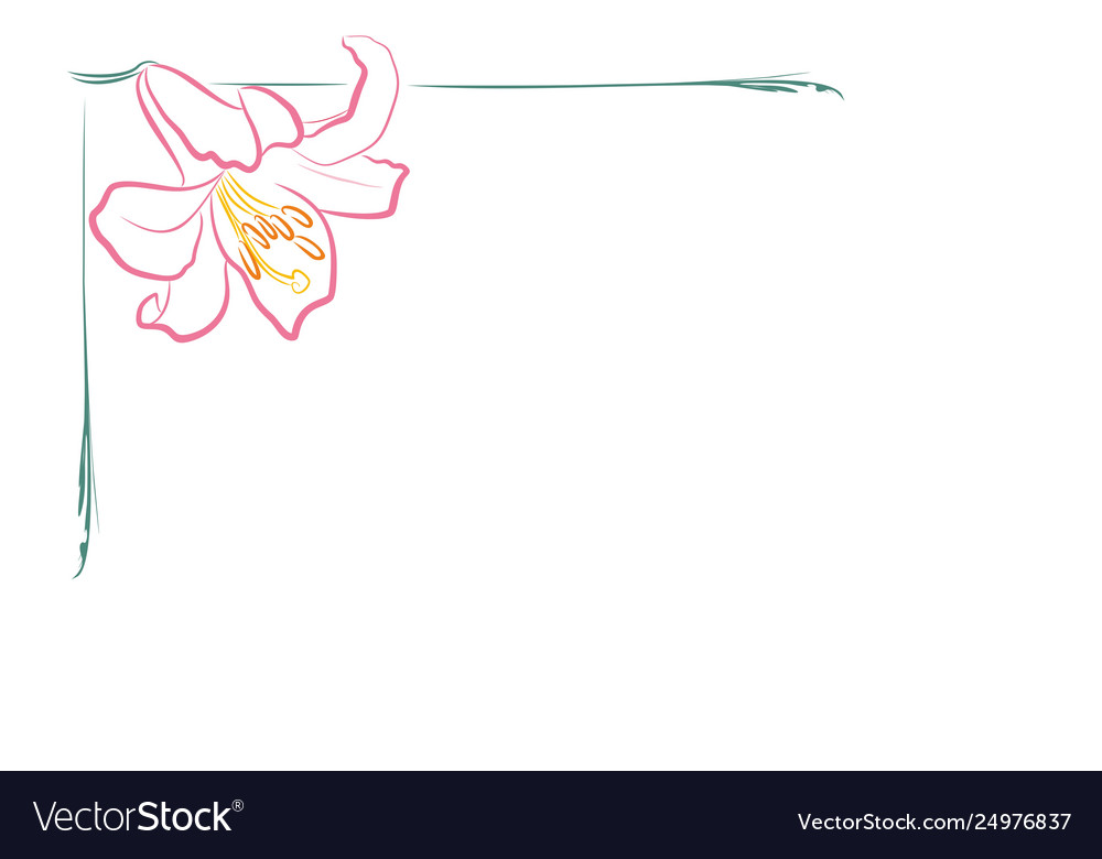 Frame with lily