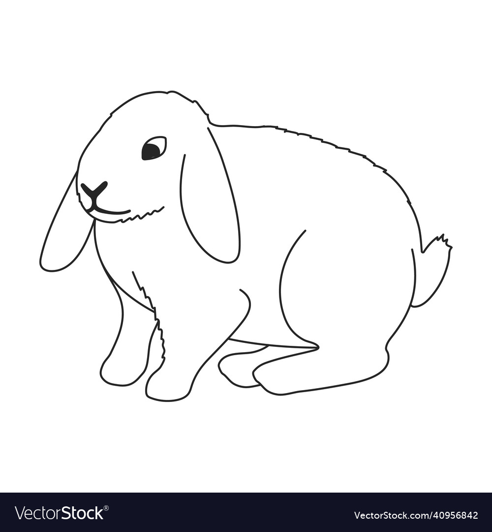 Rabbit outline icon Royalty Free Vector Image - VectorStock