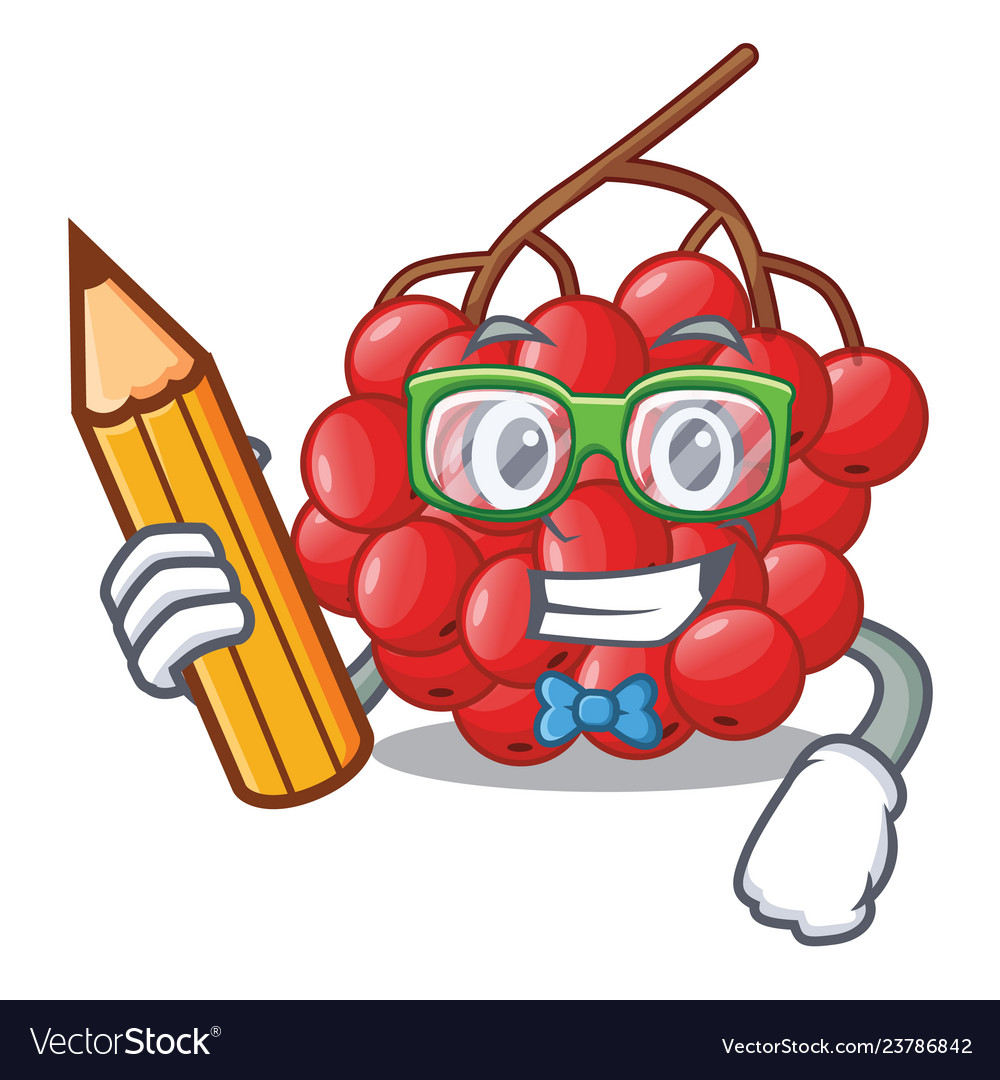 Student tree rowan berries the characters shape