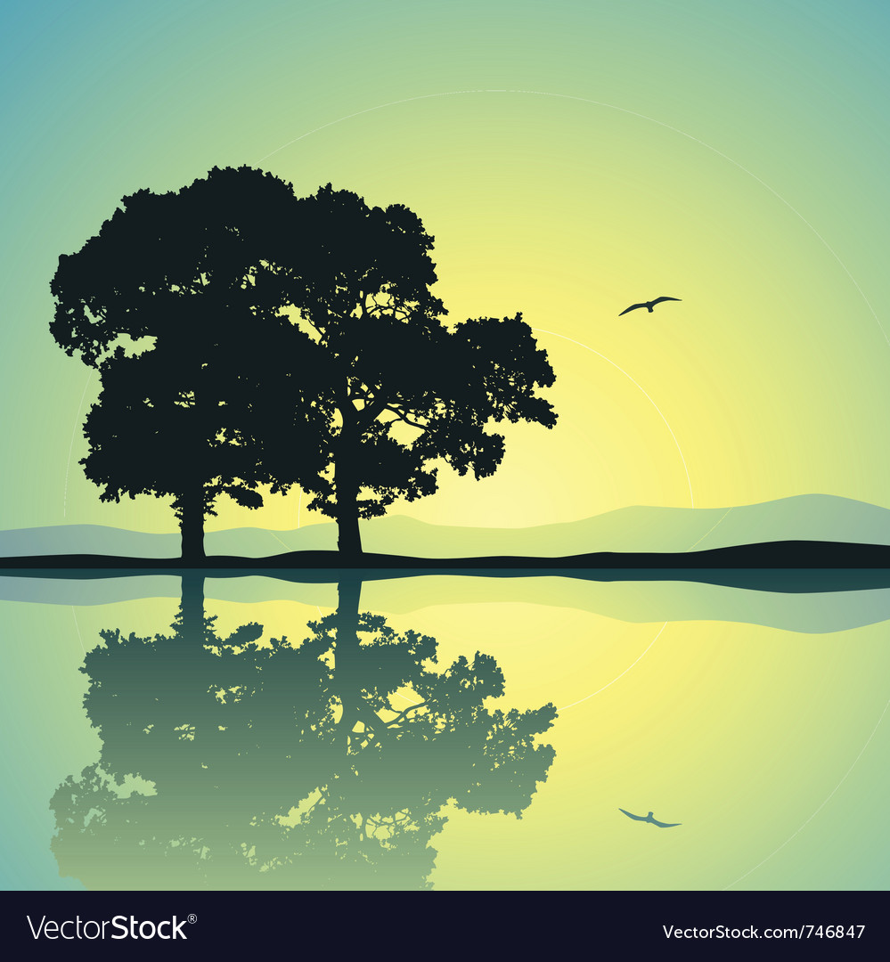 Lone Trees Reflection
