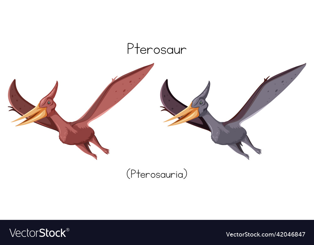 Let's learn about pterosaurs