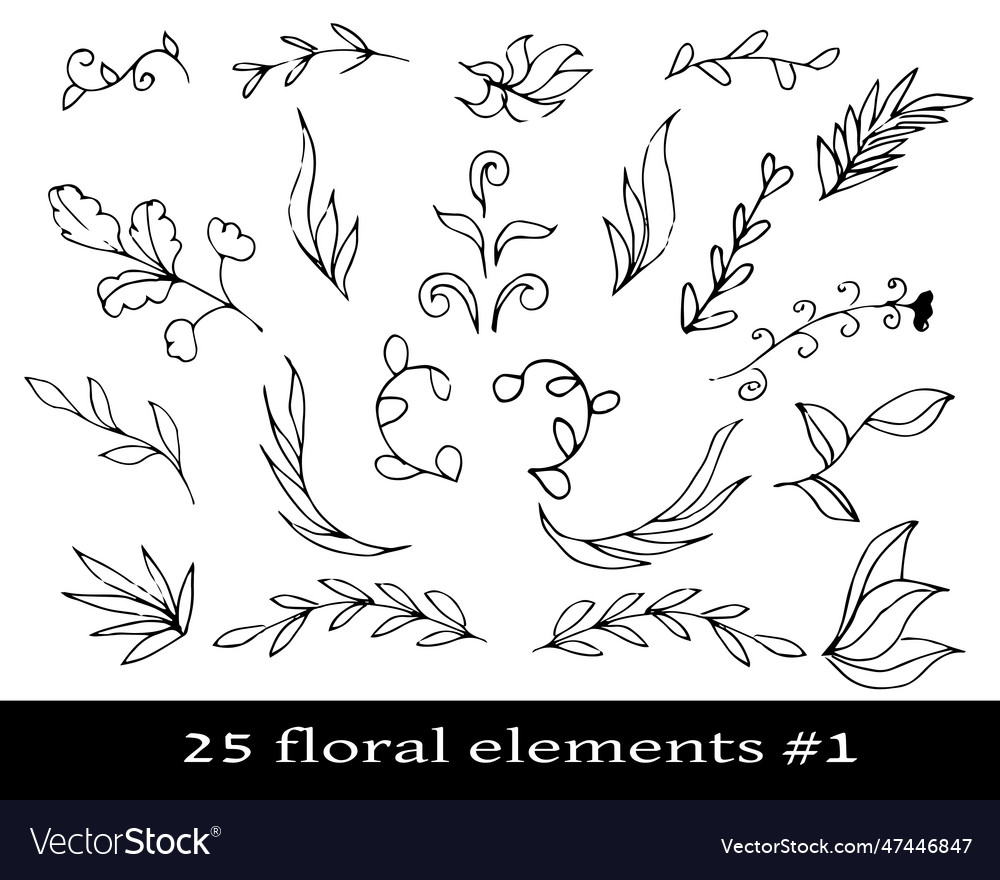 Set of floral elements with laurel trees leaves