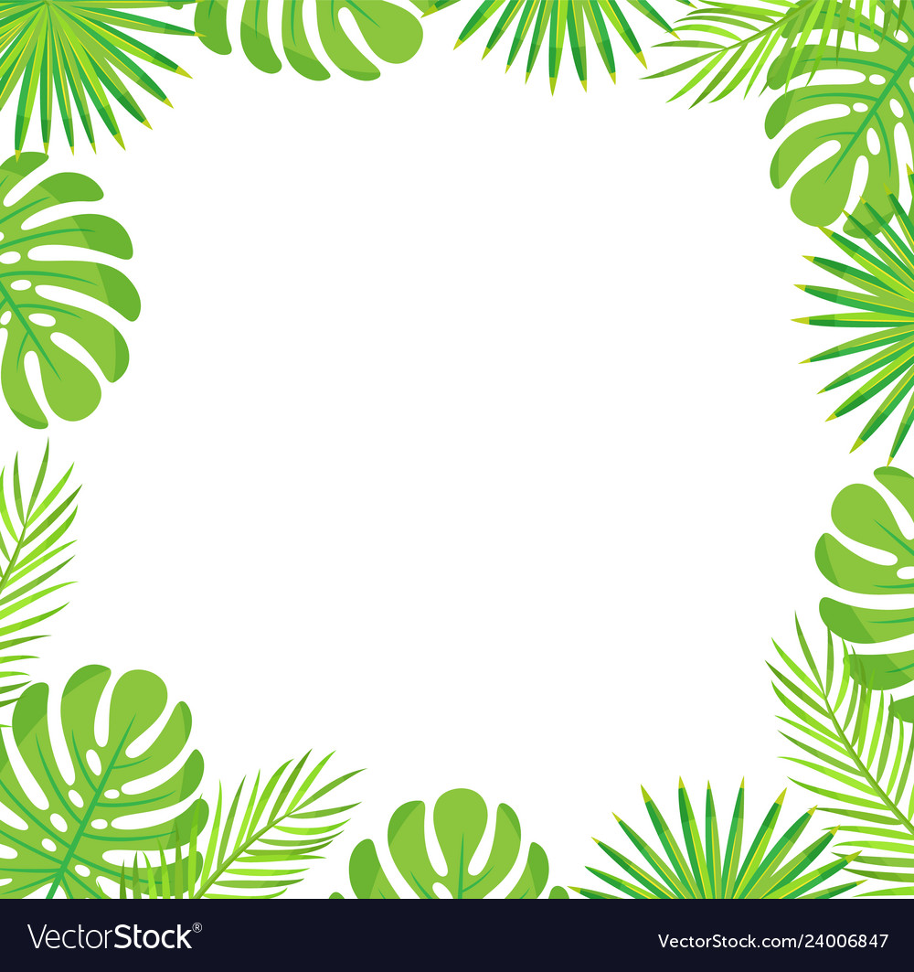 Tropical leaves border isolated green palm leaves Vector Image