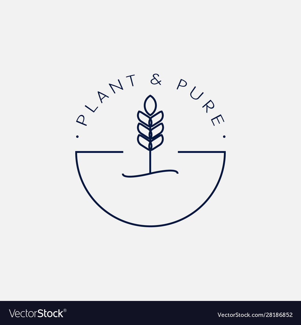 Botanical logo minimalism template 06