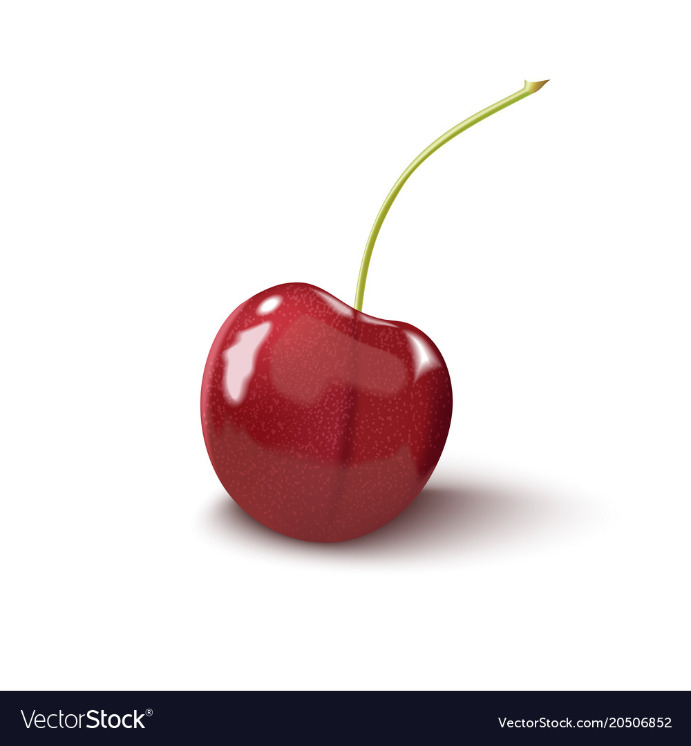 Cherry isolated on white background