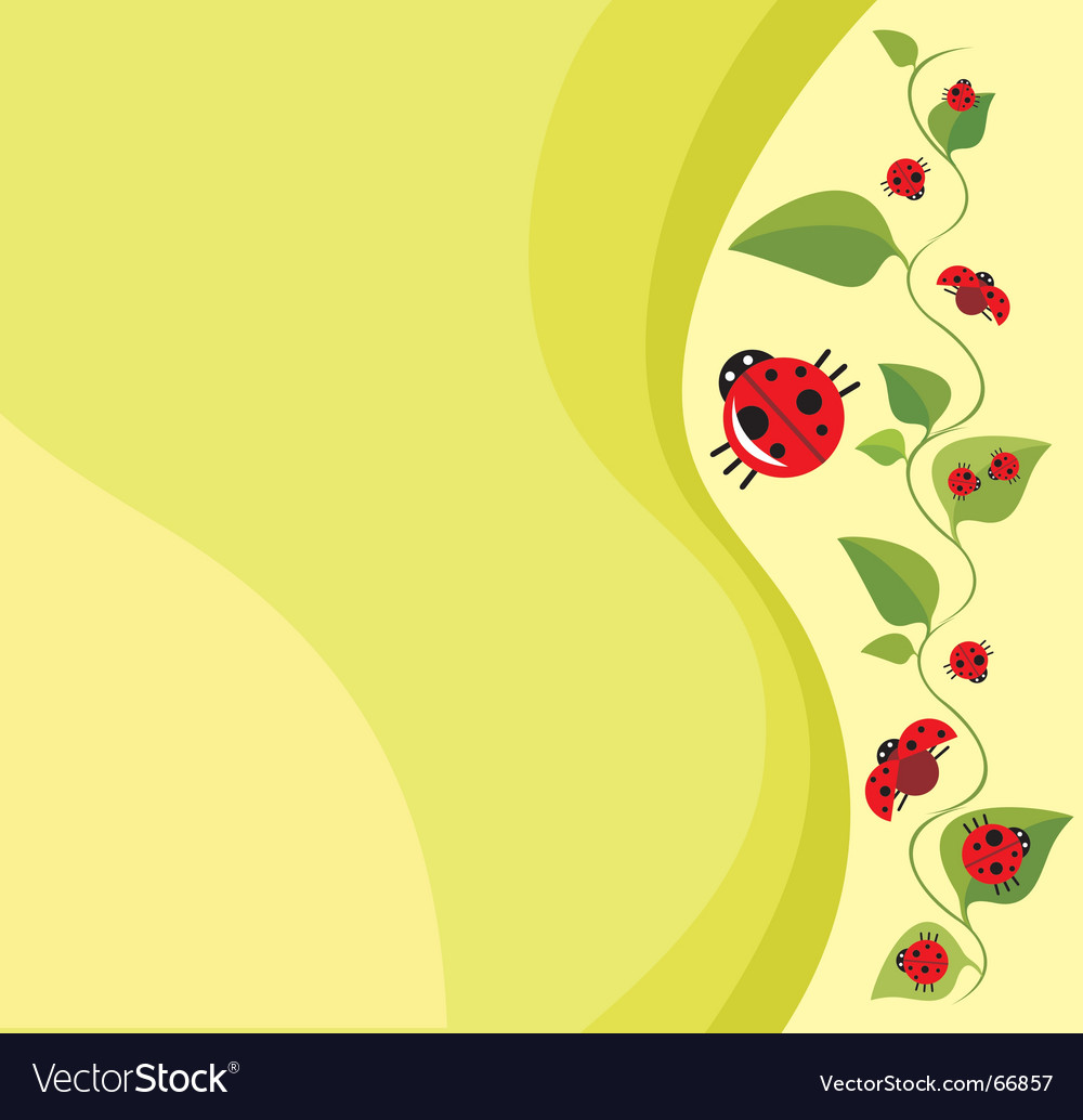 Floral Cartoon Frame