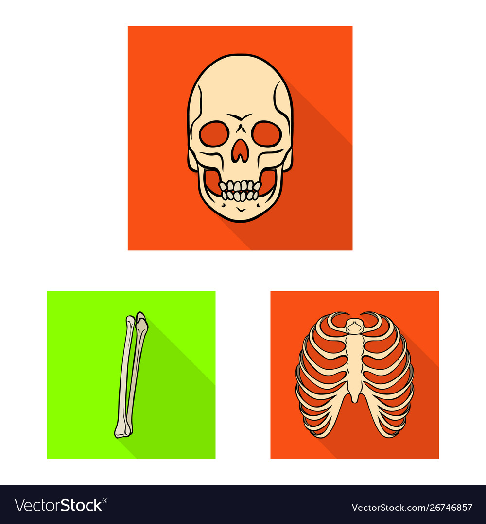Isolated object bone and skeleton logo