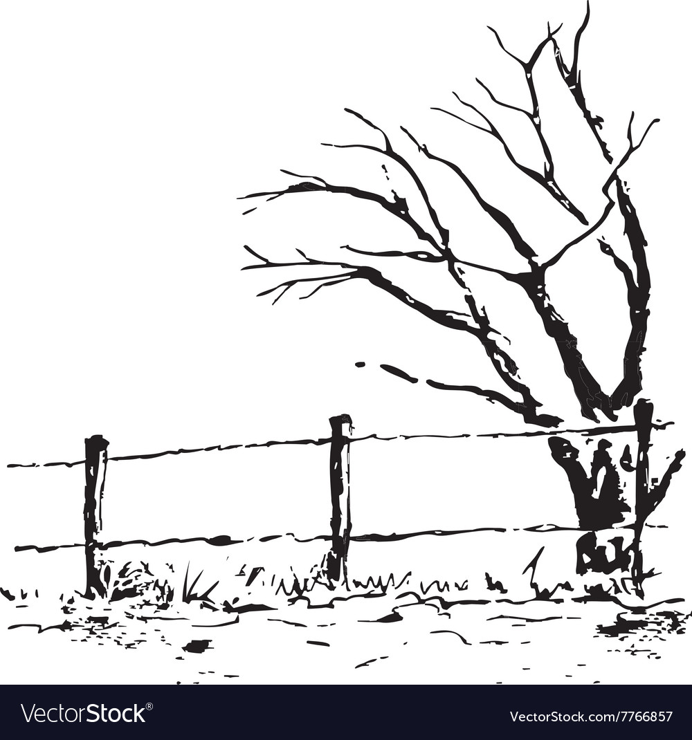 Tree isolated on white background