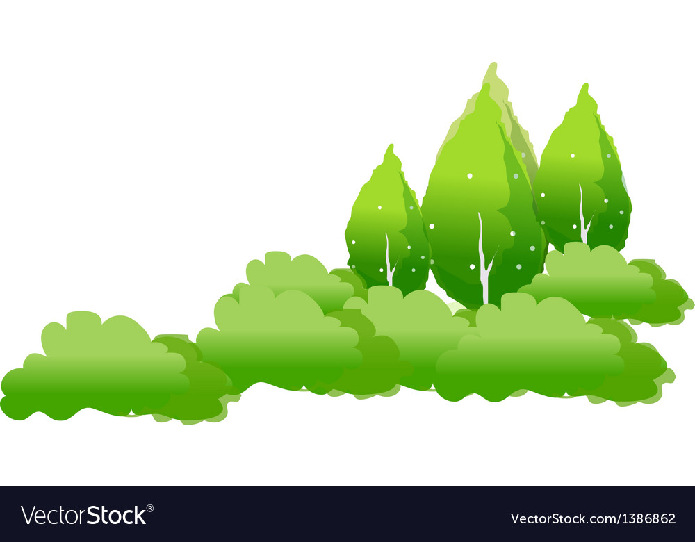 Lush Forest Landscape