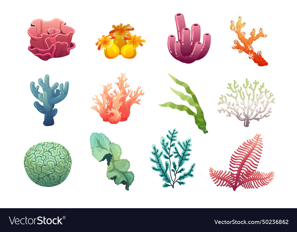 Seashell set shellfish ocean underwater conch Vector Image