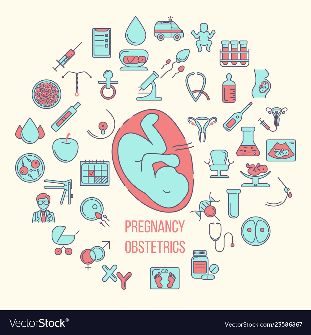 Pregnant and obstetrics concept with different