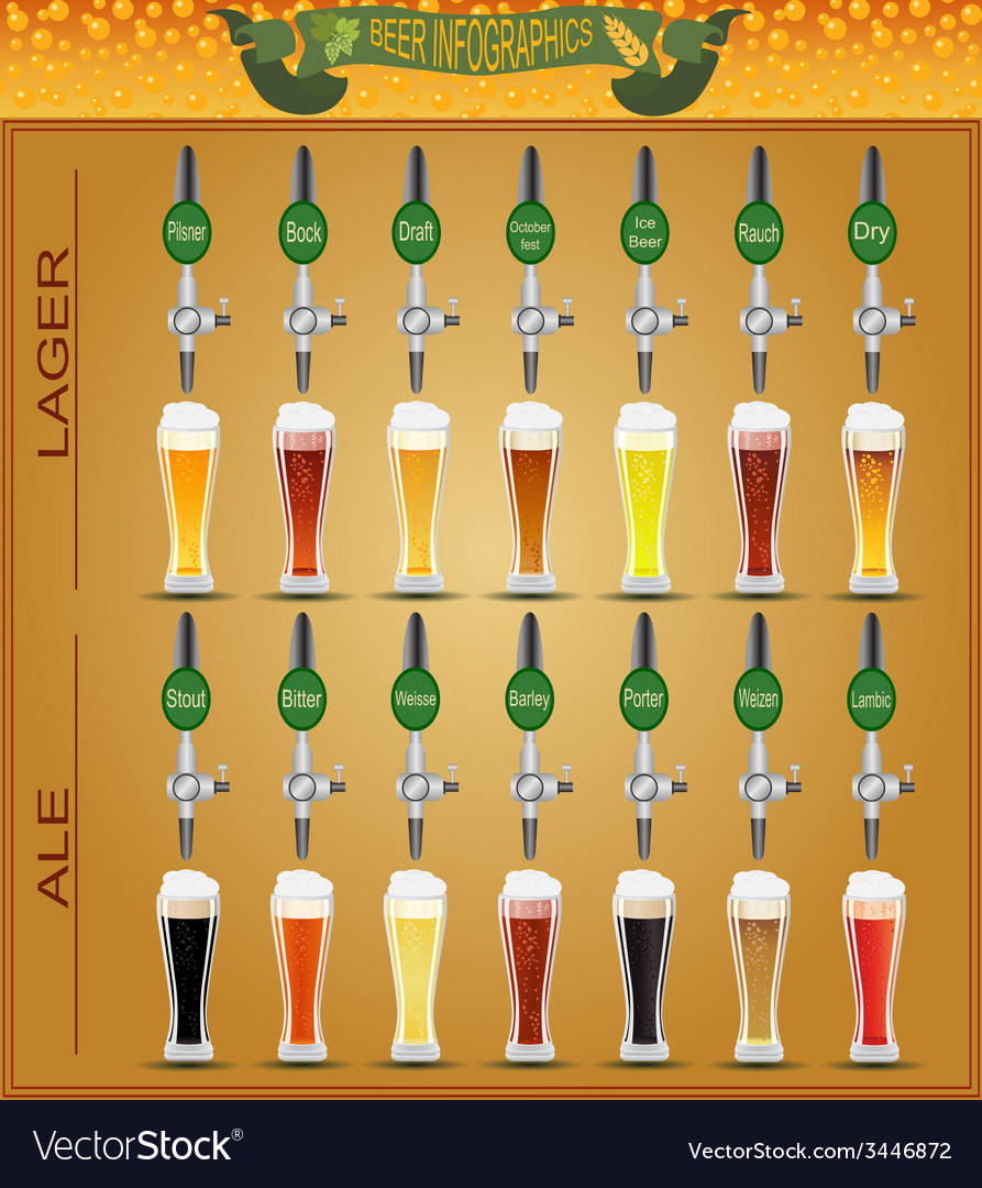 Beer menu set creating your own infographics