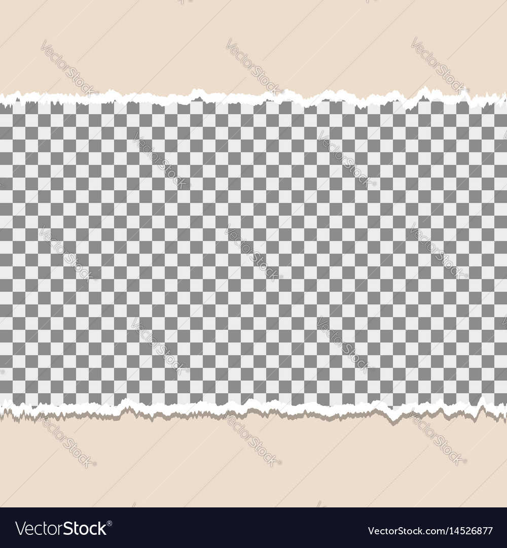Ripped Paper Background