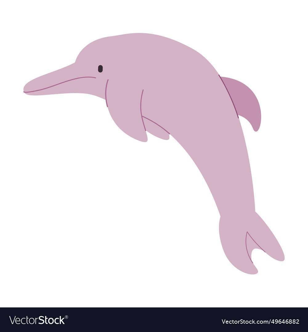 Pink color river dolphin cute adorable friendly