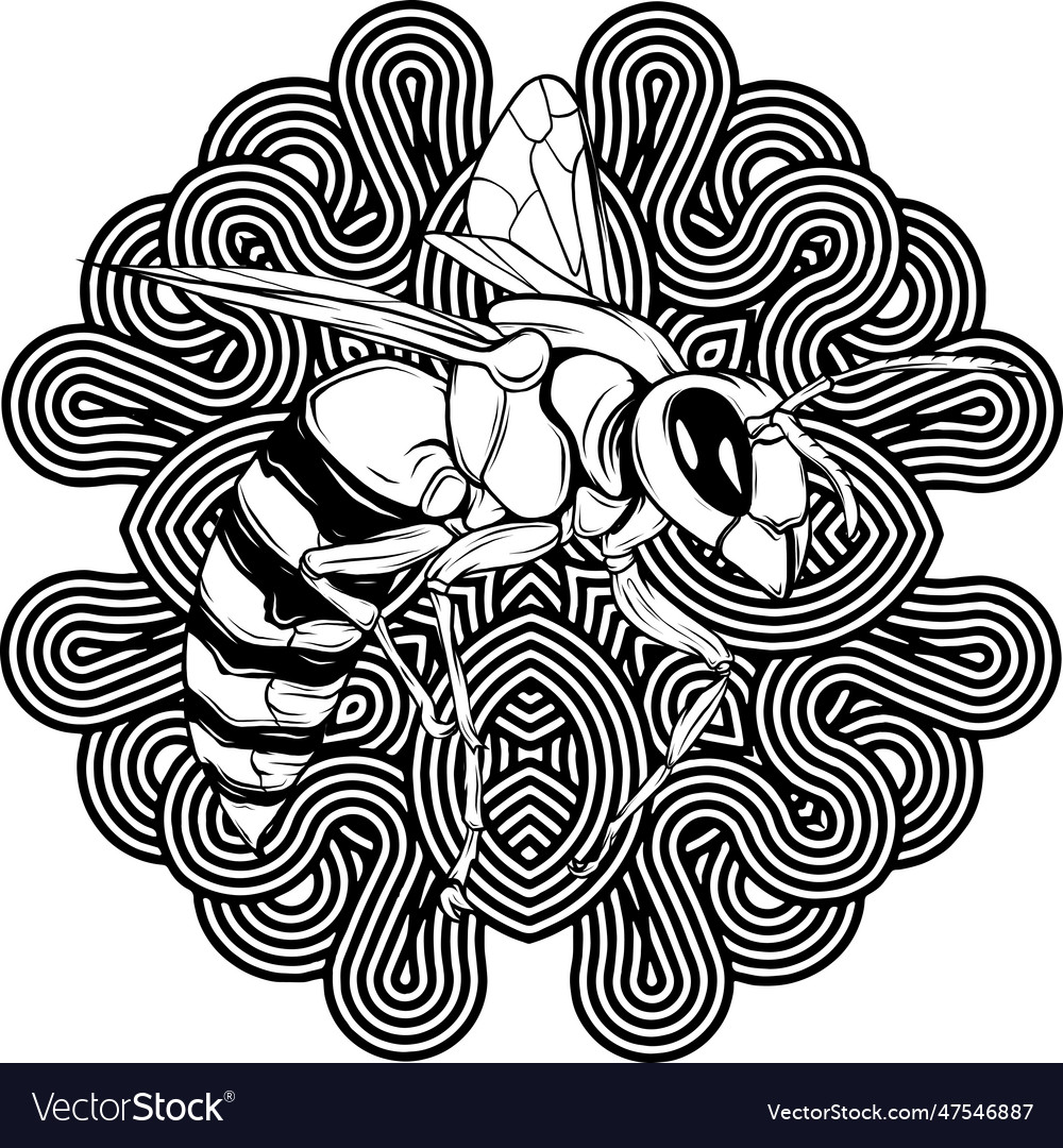 Bee outline black and white Royalty Free Vector Image