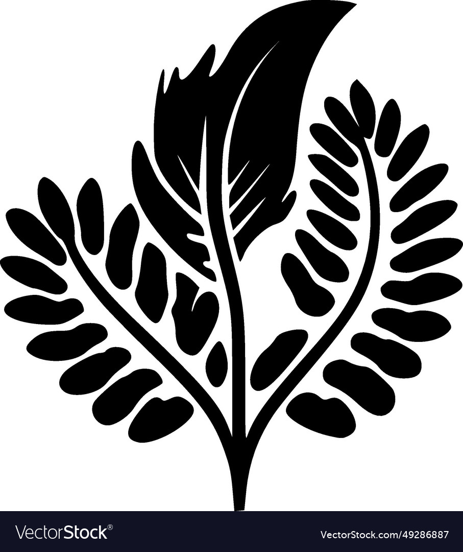 Botanical - black and white Royalty Free Vector Image