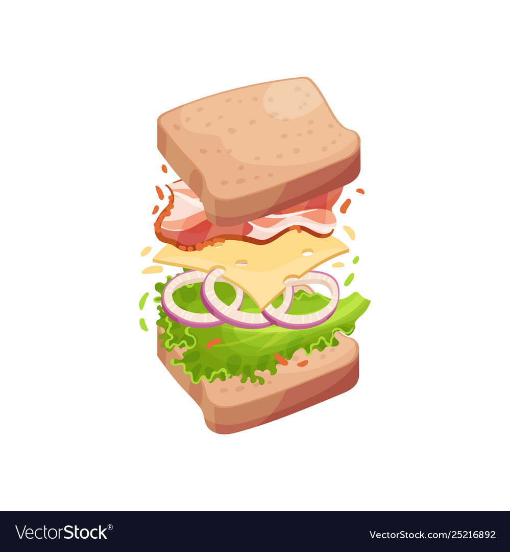 Sandwich on square slices bread with bacon vector image Sandwich on square slices bread with bacon