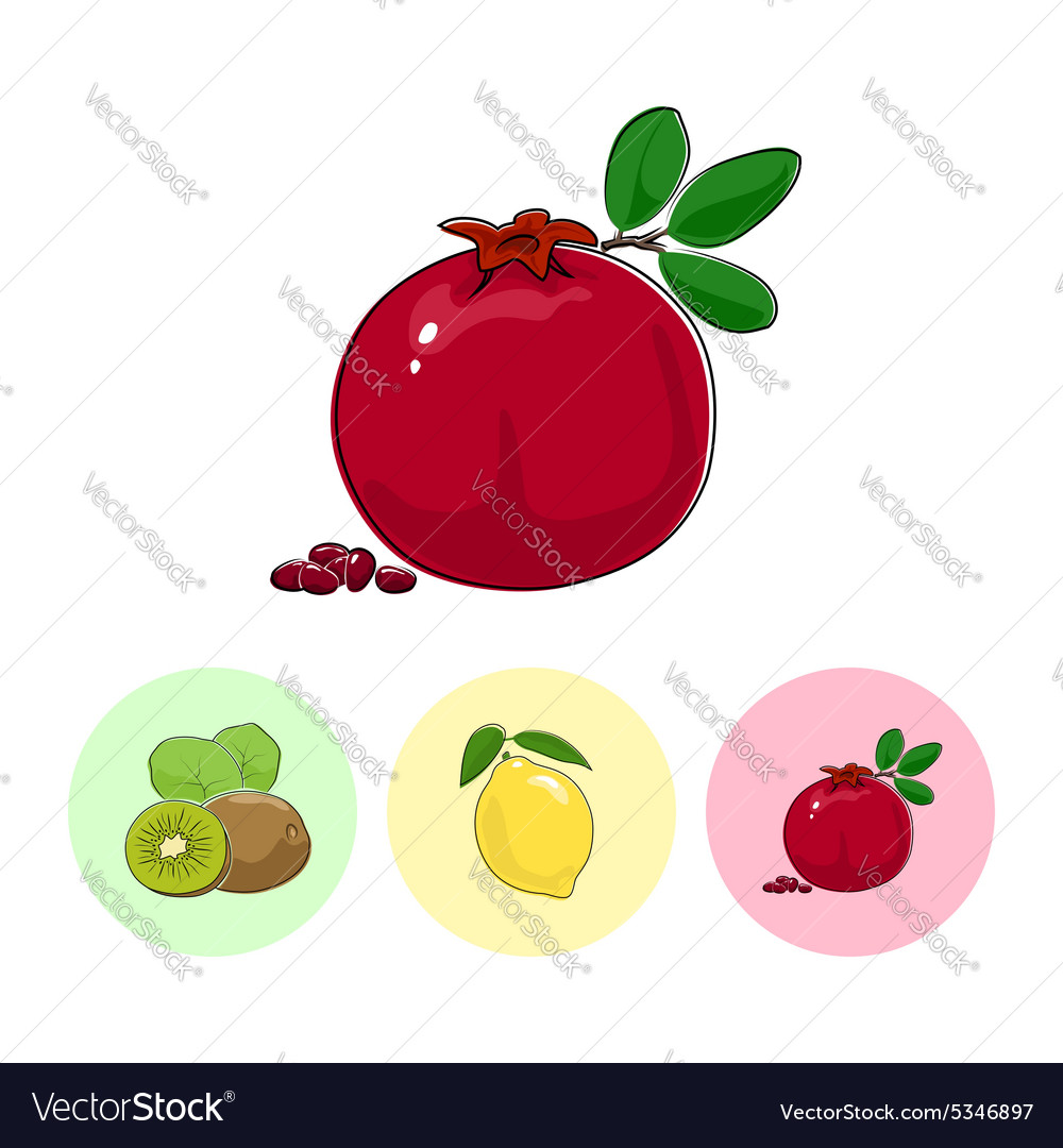 Fruit icons pomegranate lemon kiwifruit