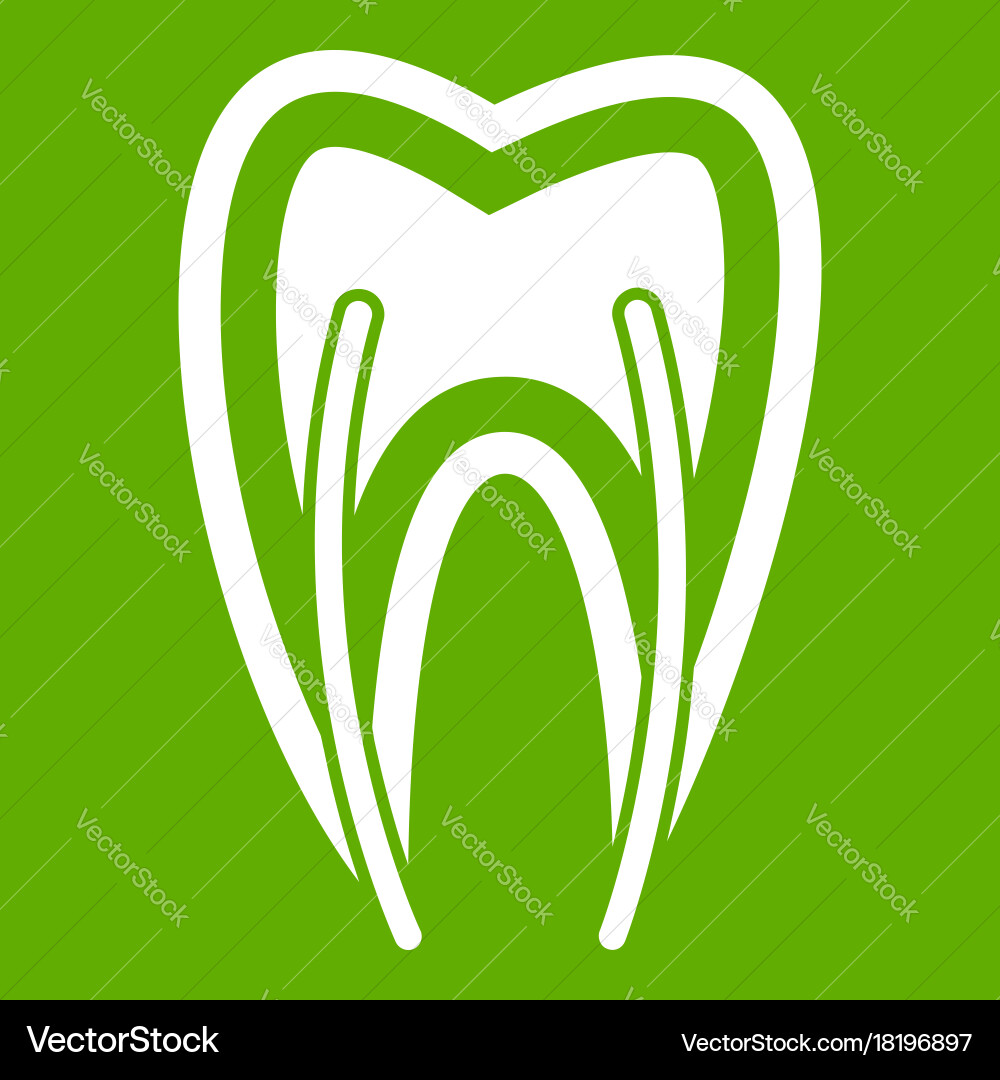 Tooth cross section icon green Royalty Free Vector Image
