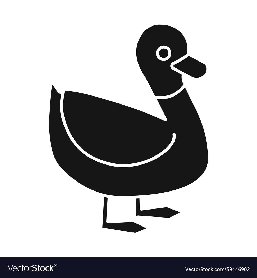 Design of duck and bird icon set