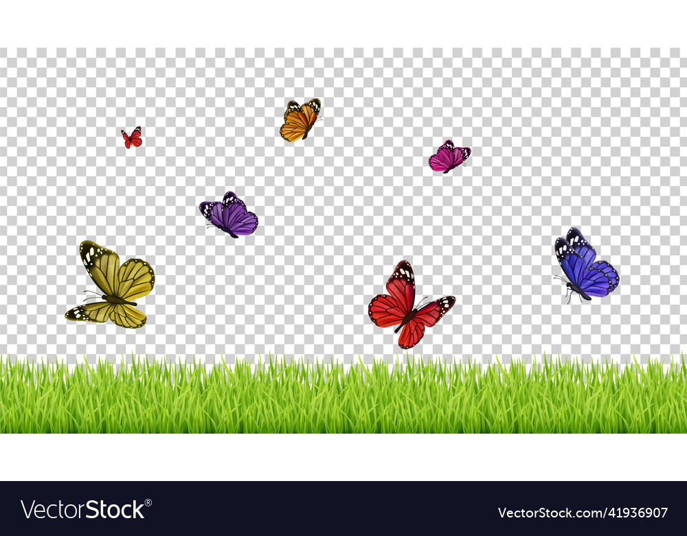 Spring background realistic grass color flying Vector Image Spring background realistic grass color flying