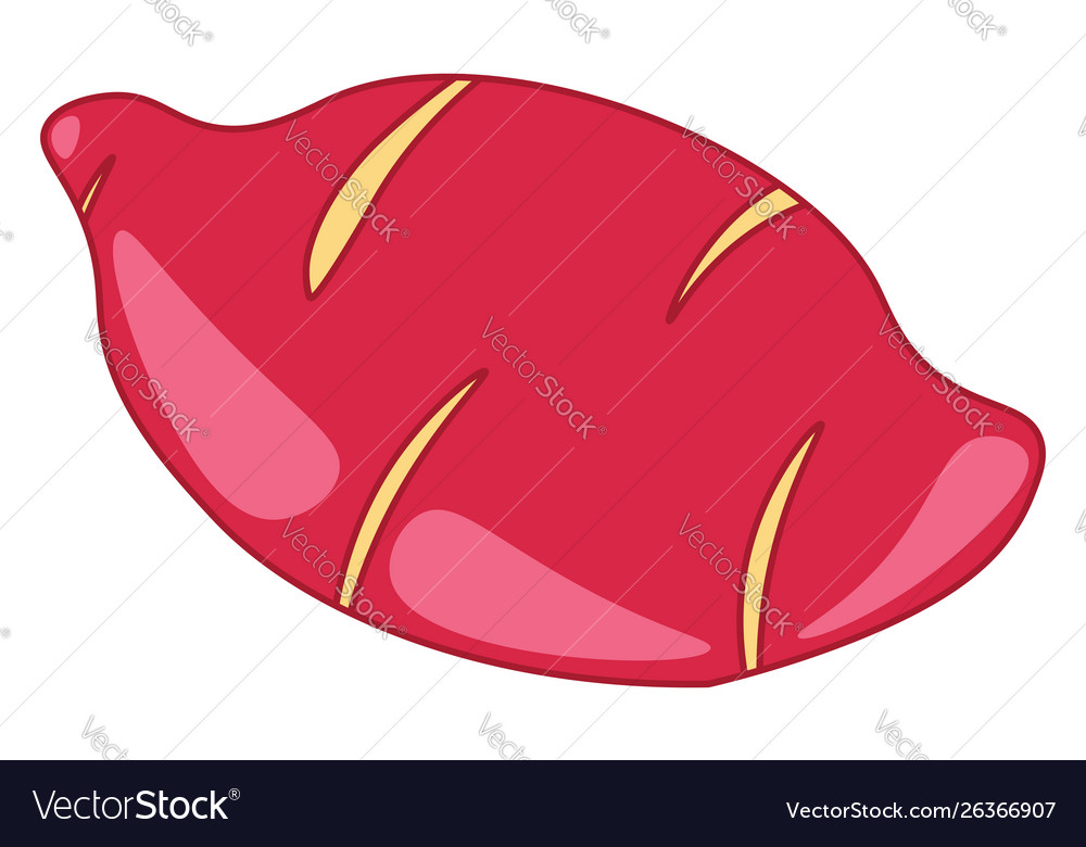 Sweet potato or color Royalty Free Vector Image