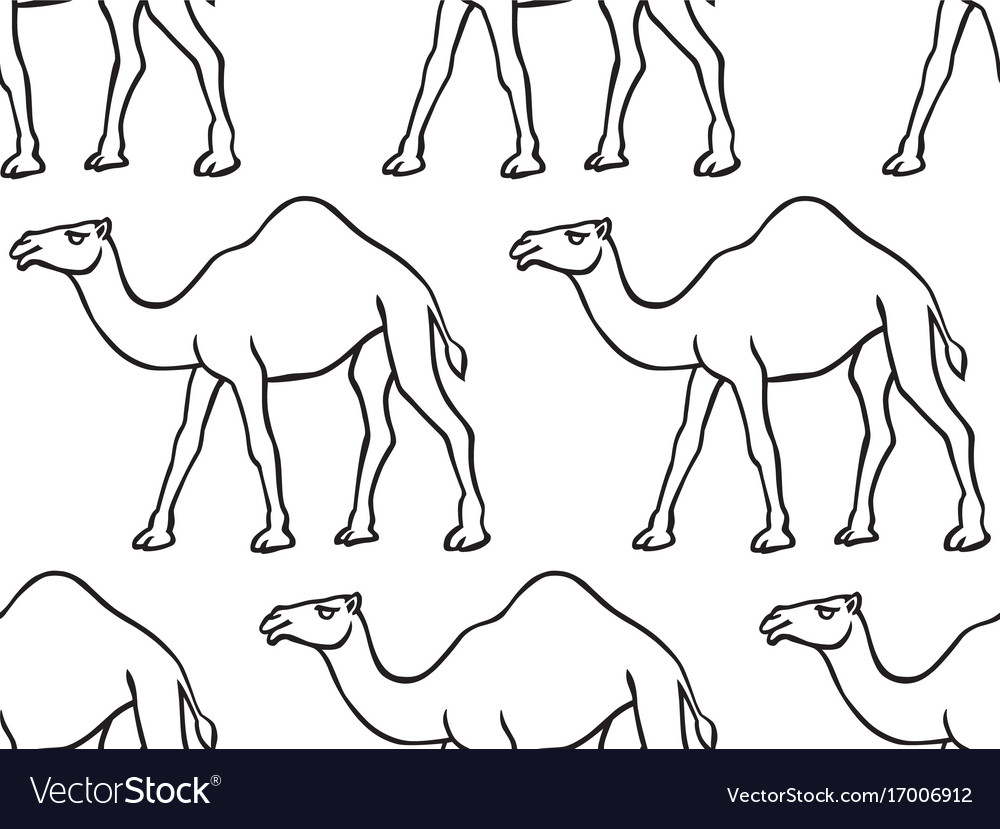 Camel contour pattern