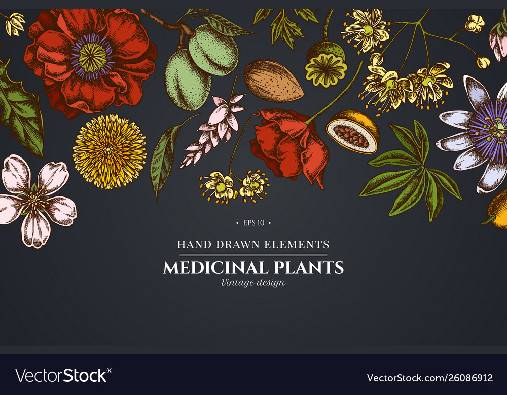 Floral design on dark background with almond