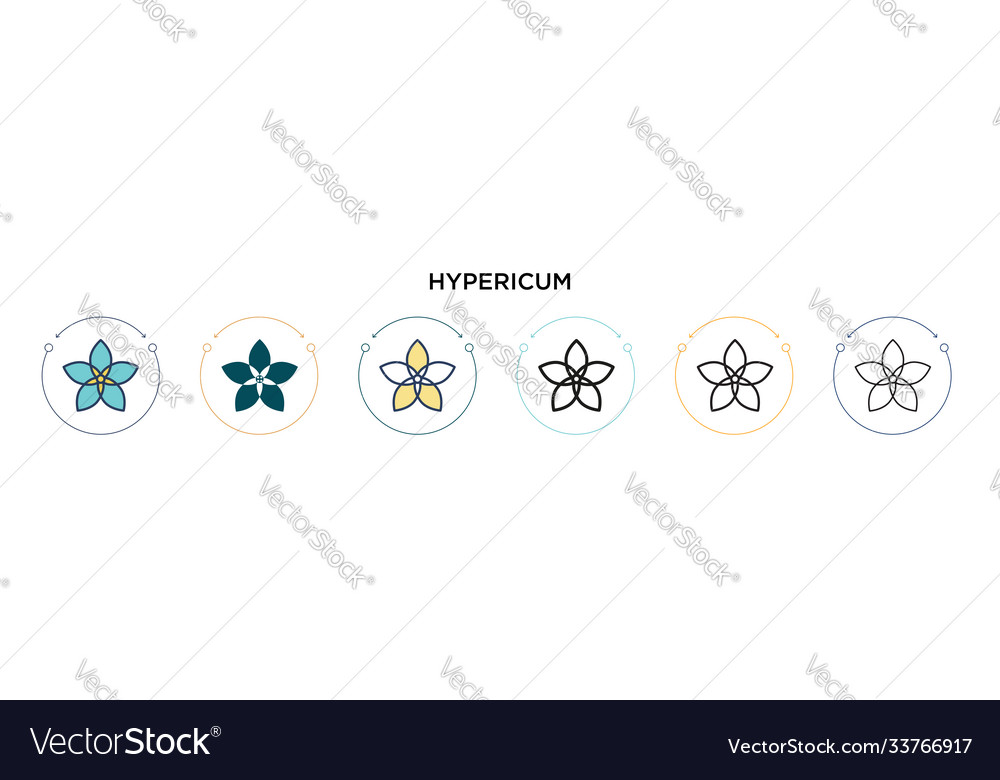 Hypericum icon in filled thin line outline Vector Image Hypericum icon in filled thin line outline