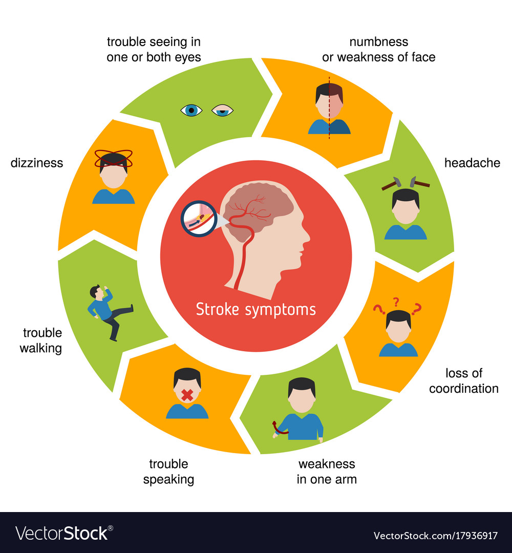 Infographics for stroke infographics for stroke Vector Image