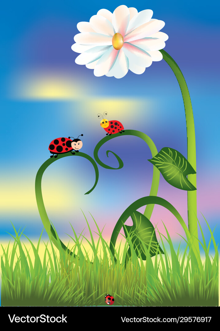 Two ladybugs Royalty Free Vector Image - VectorStock