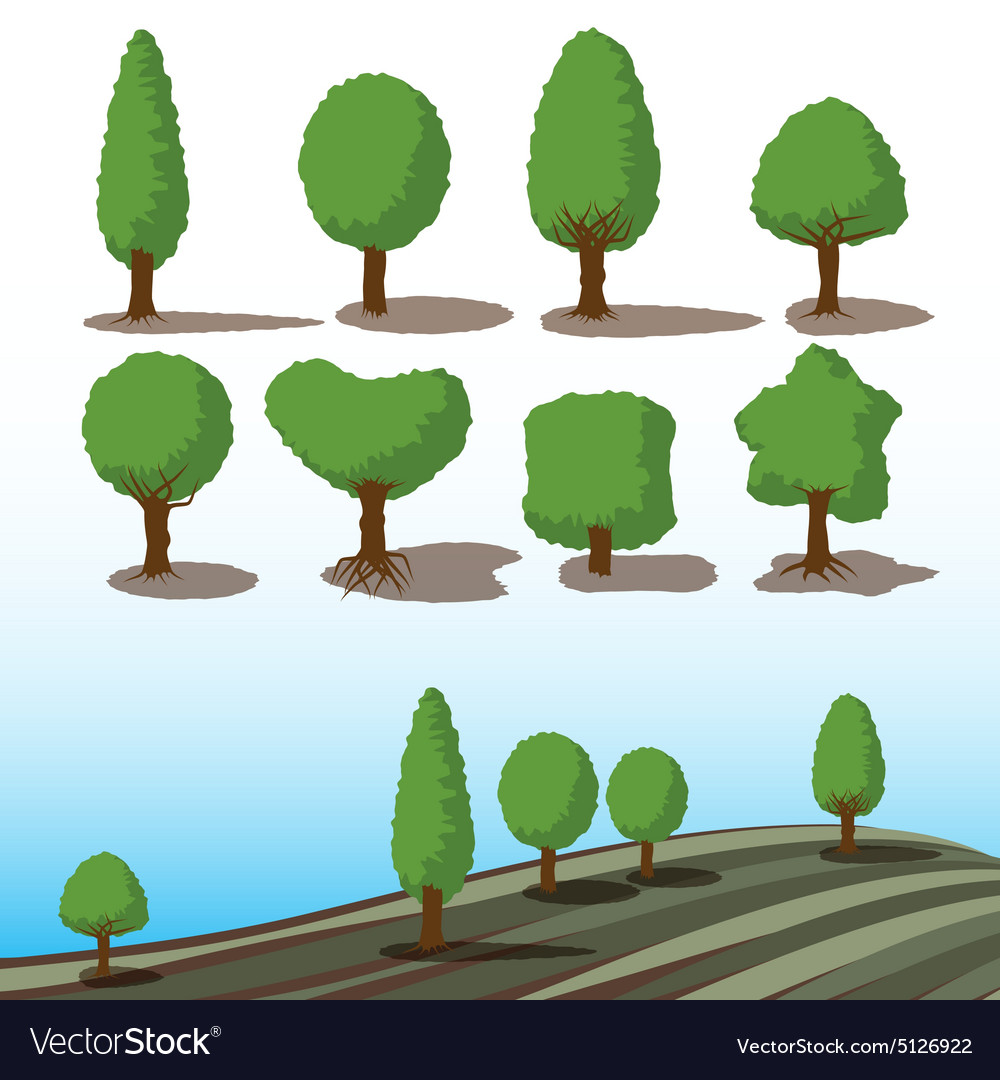 Set of green trees with shadows