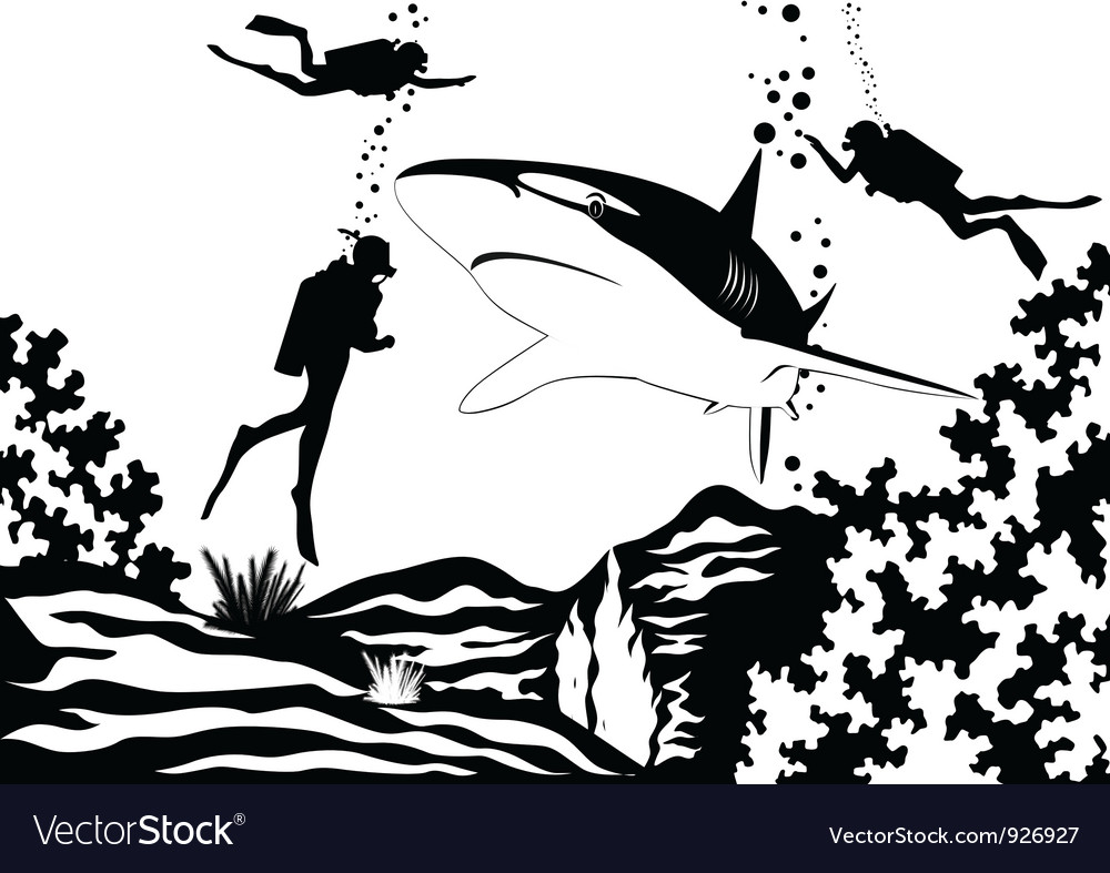 Scuba divers and shark Royalty Free Vector Image