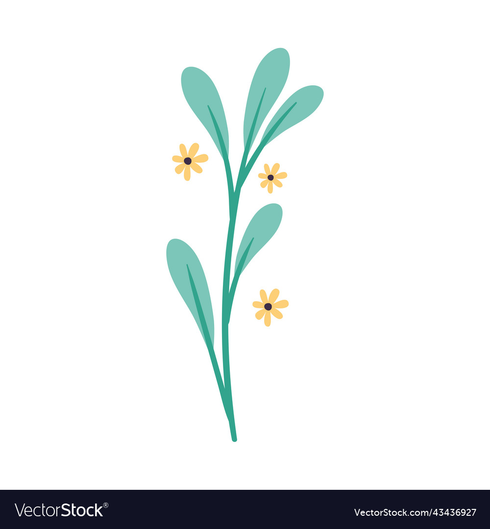 Stem with yellow flowers Royalty Free Vector Image