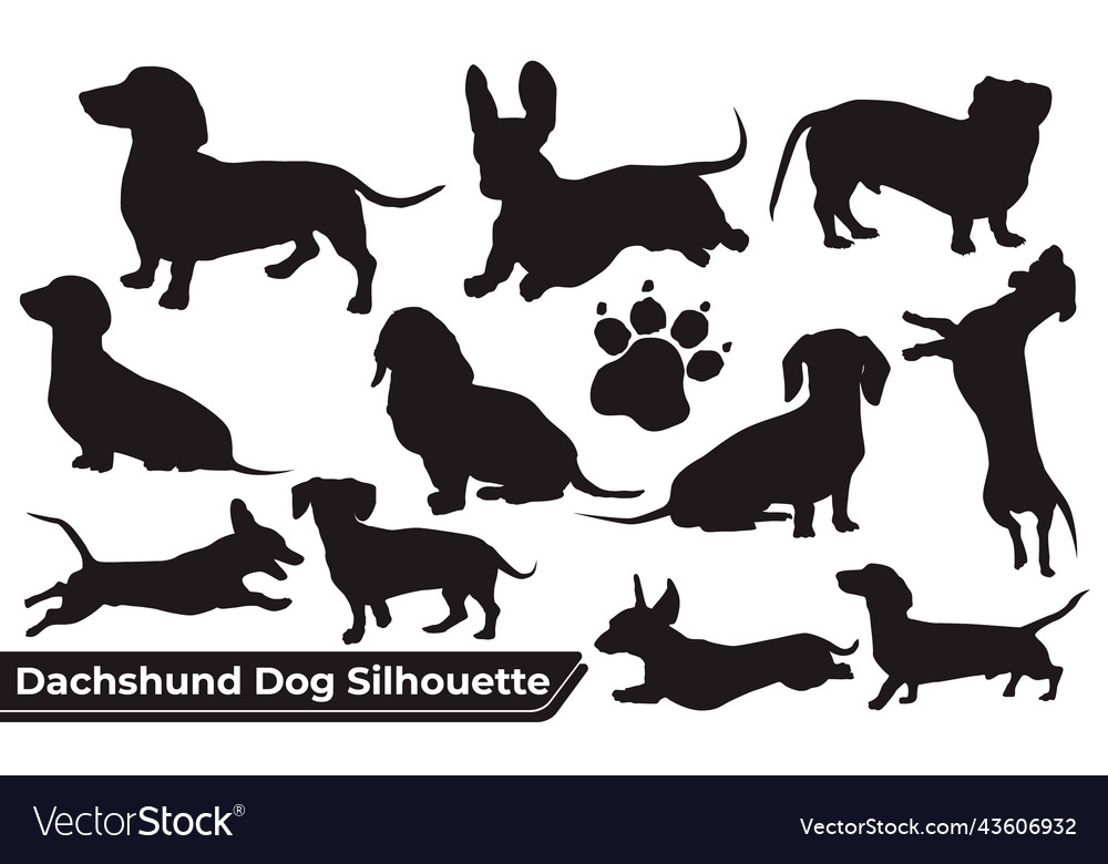 Collection of animal dachshund dog Royalty Free Vector Image