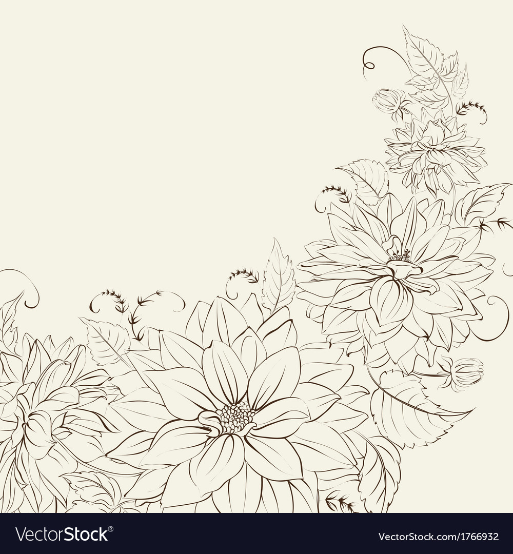 Garland of chrysanthemum isolated Royalty Free Vector Image