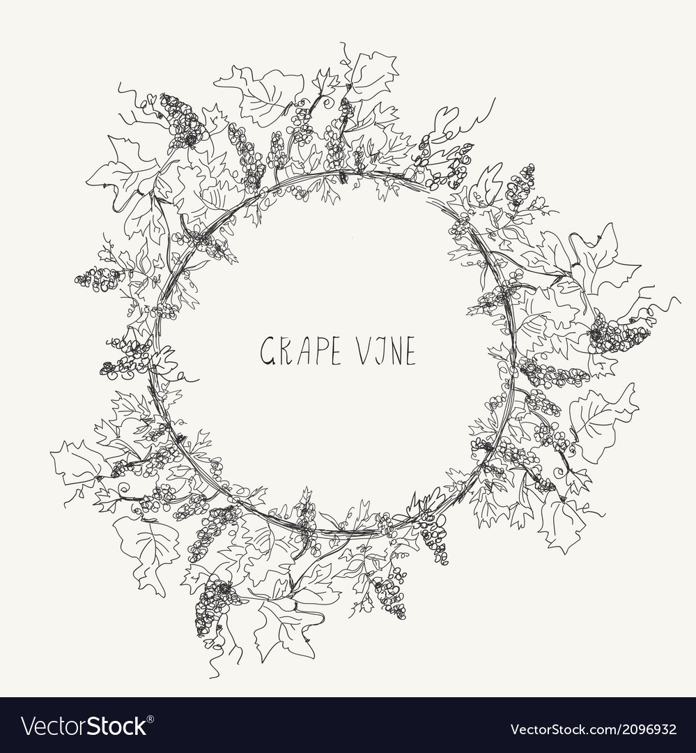 Grape Vine Sketch Frame
