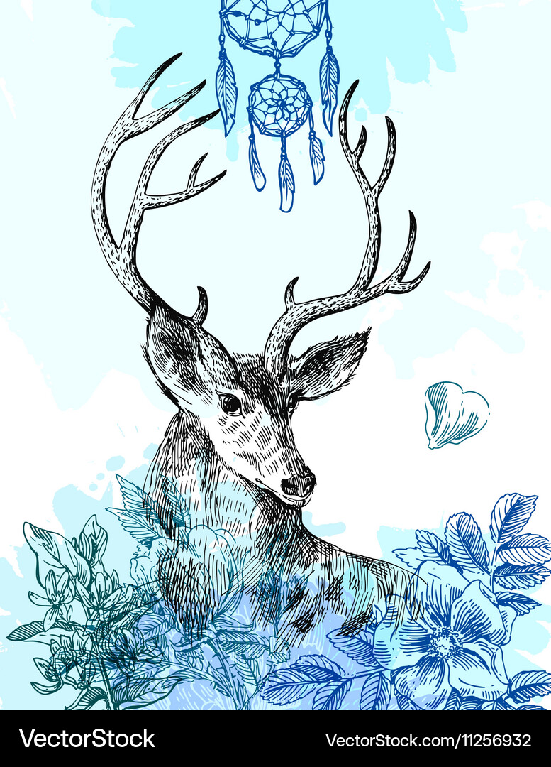 Hand drawn deer Royalty Free Vector Image - VectorStock