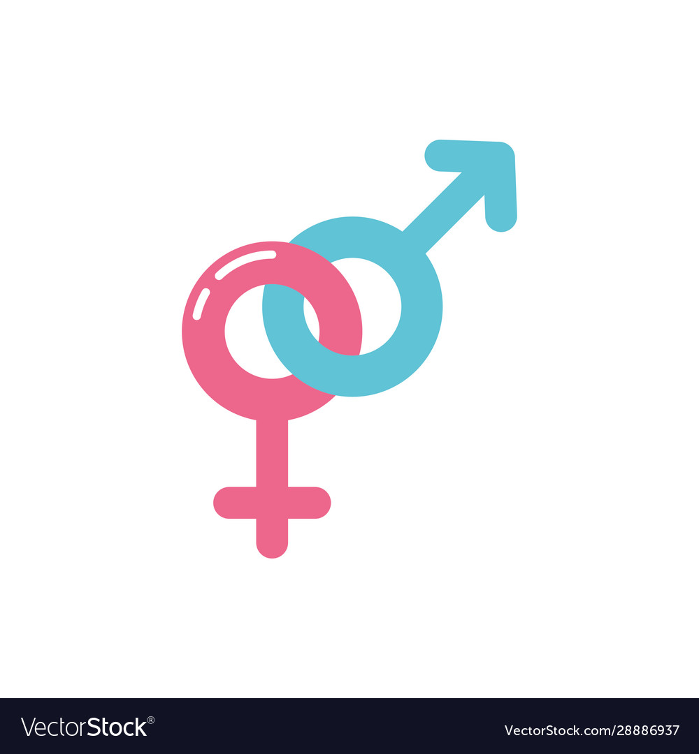 Isolated female and male symbol design royalty free vector