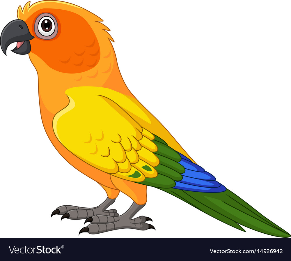 Cartoon sun conure parrot on white background Vector Image