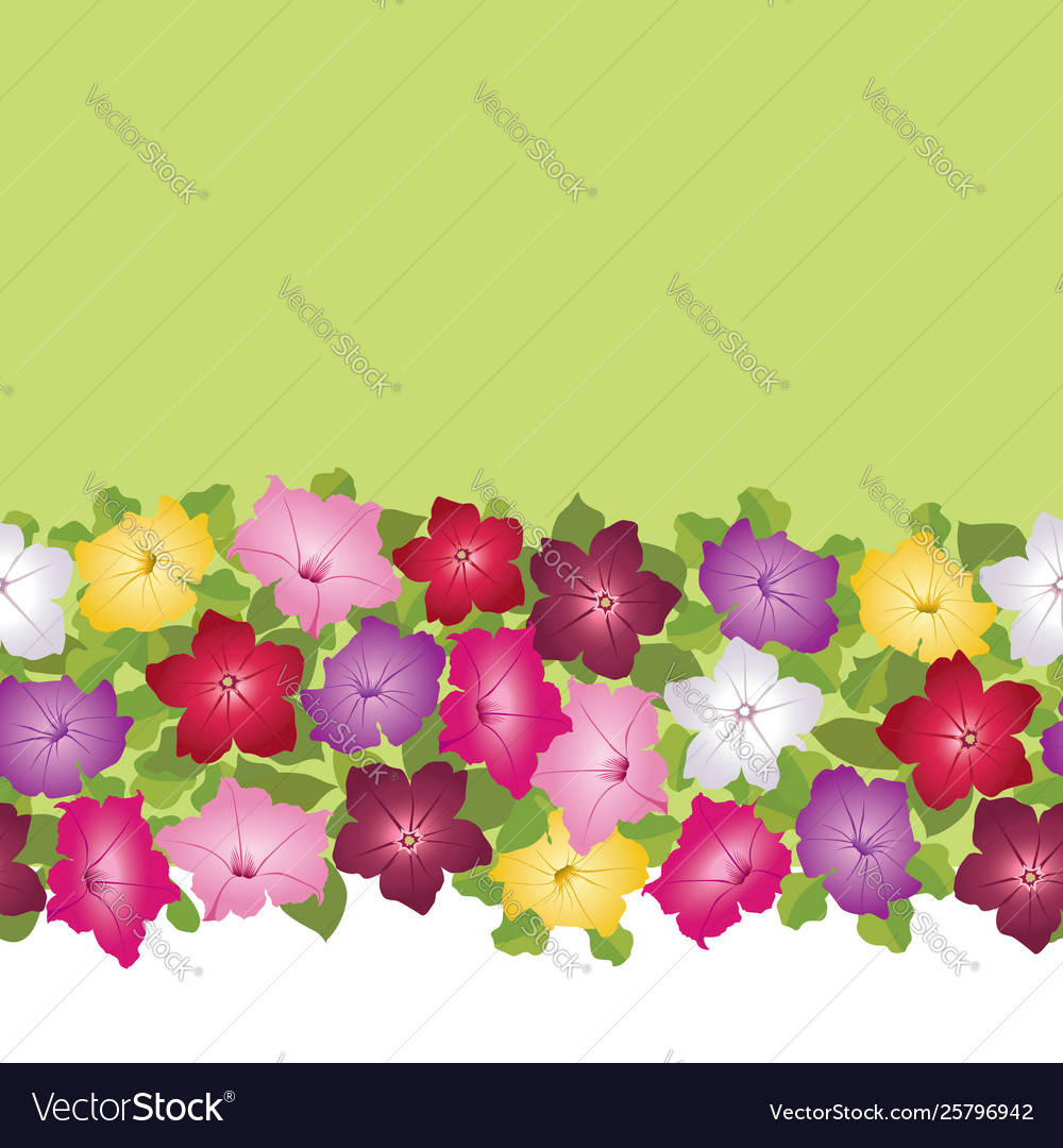 Floral seamless pattern decorative flower