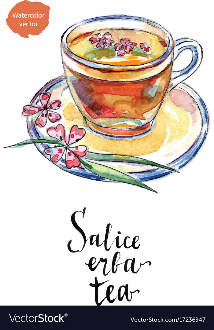 Glas Tasse Salice Erba Tee in Aquarell