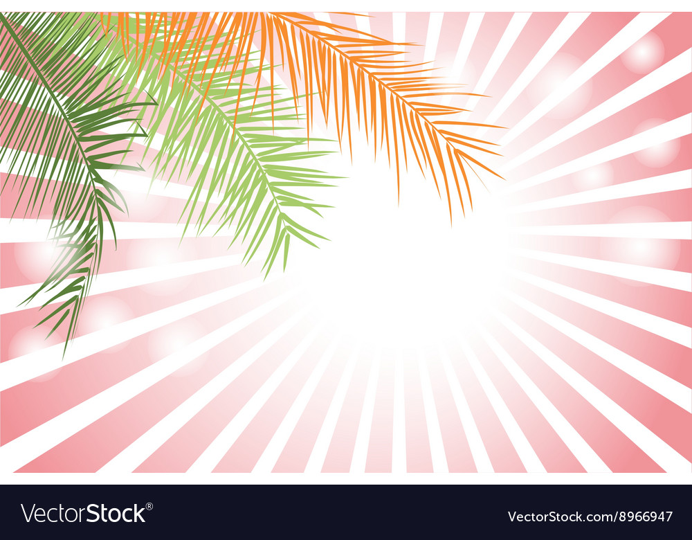 Palm leaf or coconut background